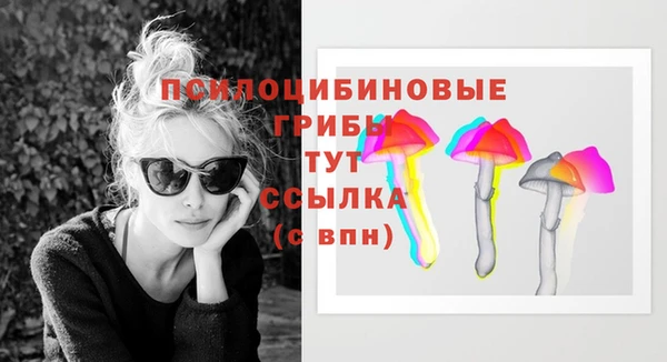 спиды Алзамай
