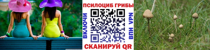 Галлюциногенные грибы MAGIC MUSHROOMS  Дегтярск 